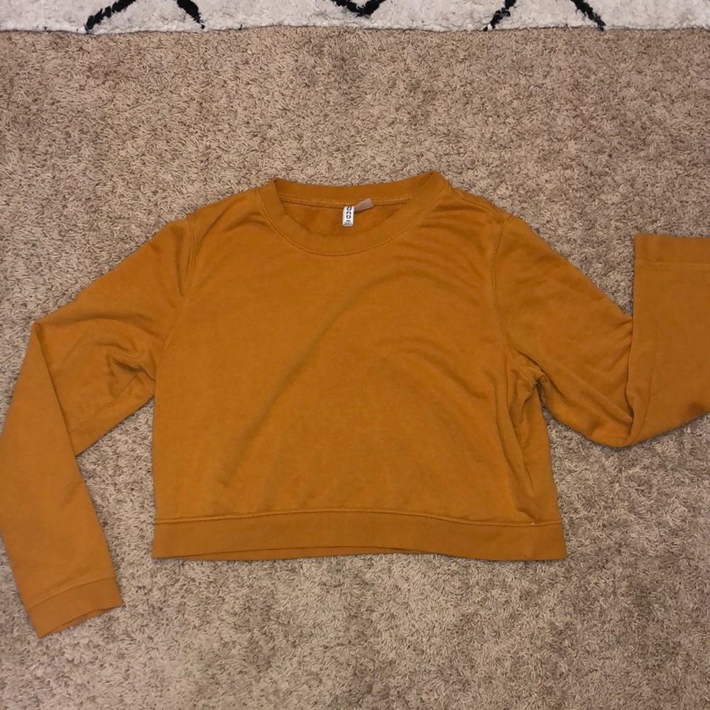 cropped sweater